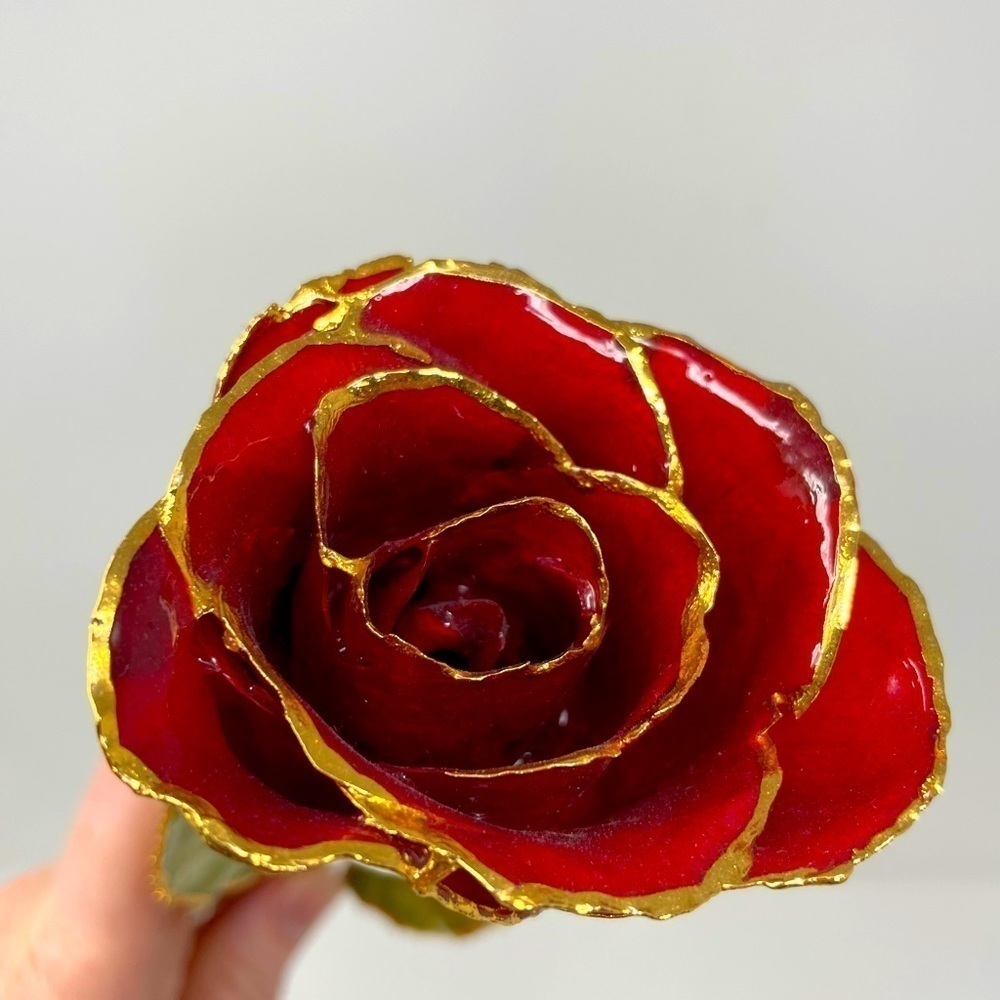 11” Real Rose Preserved in Lacquer & Trimmed in 24K Gold | Red Rose | Forever